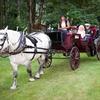 Horse & Carriage delivers the bride to the chapel and sweeps the happy couple away after the ceremony.